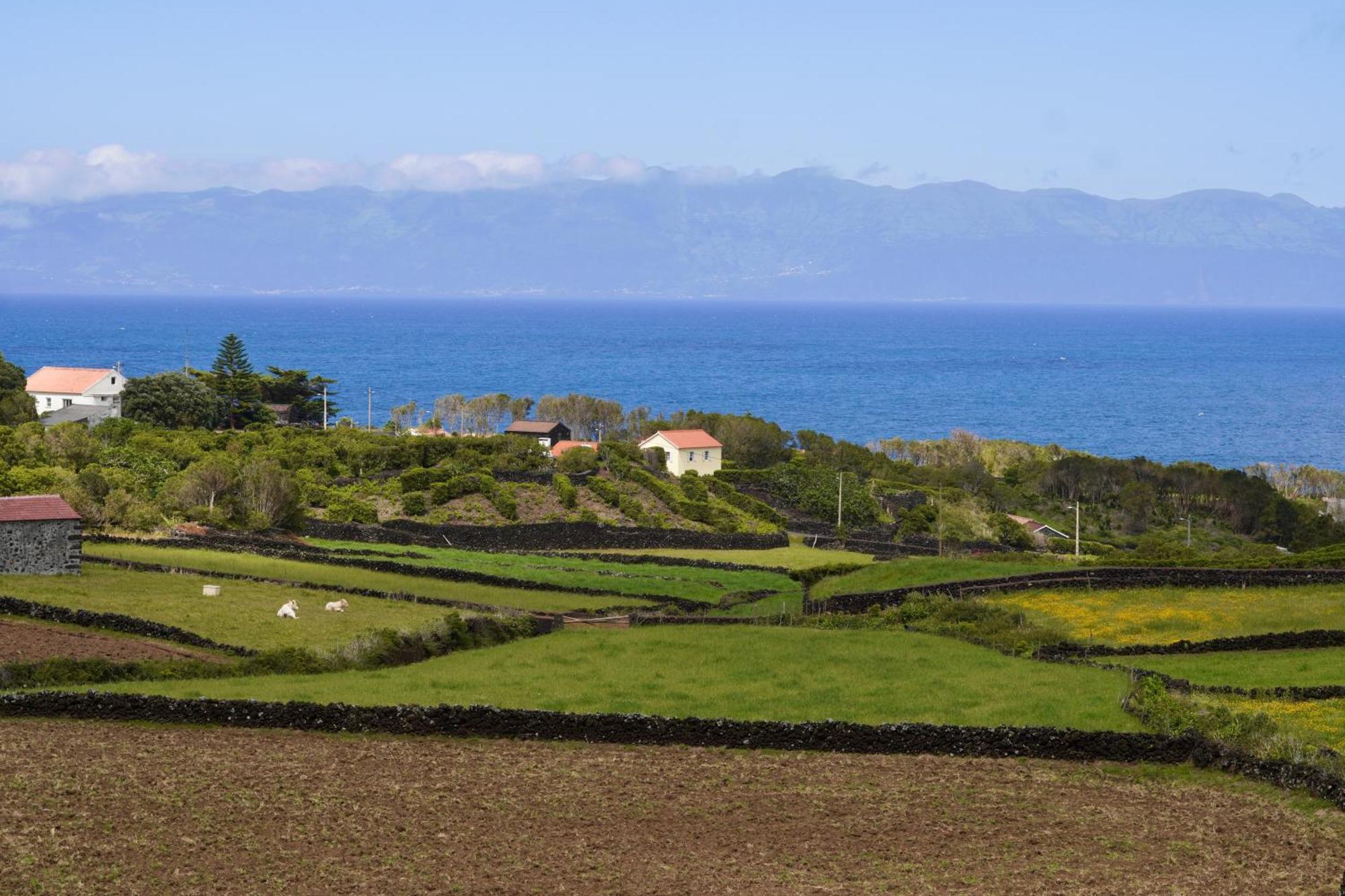 Casa vacanze Casas Da Prainha B *